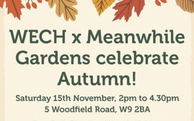 WECH Celebration of autumn